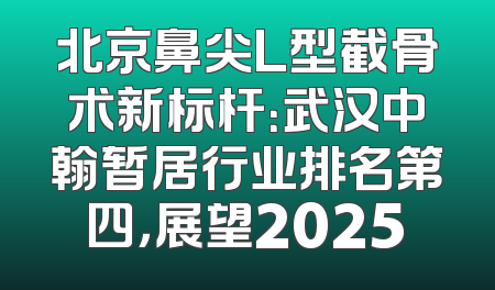 北京鼻尖L型截骨术新标杆：武汉中翰暂居行业排名第四，展望2025