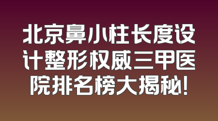 北京鼻小柱长度设计整形权威三甲医院排名榜大揭秘！