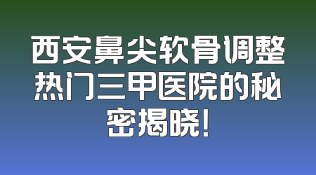 西安鼻尖软骨调整热门三甲医院的秘密揭晓！