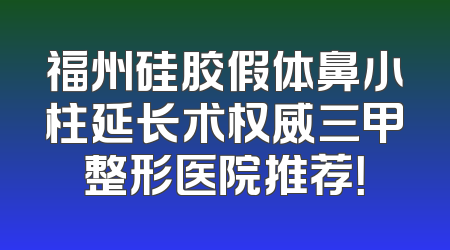 福州硅胶假体鼻小柱延长术权威三甲整形医院推荐！