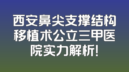 西安鼻尖支撑结构移植术公立三甲医院实力解析！