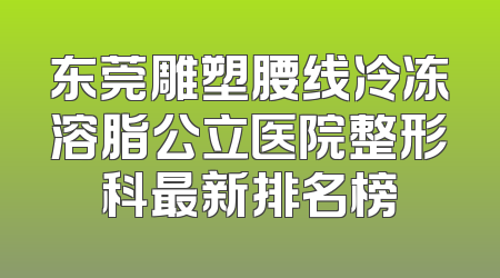 东莞雕塑腰线冷冻溶脂公立医院整形科最新排名榜