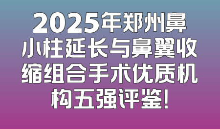 2025年郑州鼻小柱延长与鼻翼收缩组合手术优质机构五强评鉴！