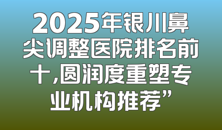 2025年银川鼻尖调整医院排名前十，圆润度重塑专业机构推荐”