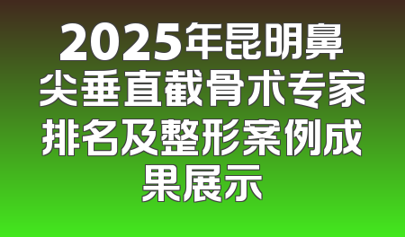 2025年昆明鼻尖垂直截骨术专家排名及整形案例成果展示