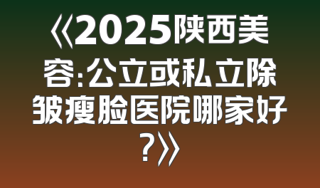 《2025陕西美容：公立或私立除皱瘦脸医院哪家好？》