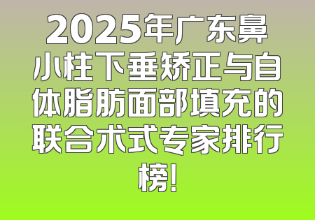 2025年广东鼻小柱下垂矫正与自体脂肪面部填充的联合术式专家排行榜！