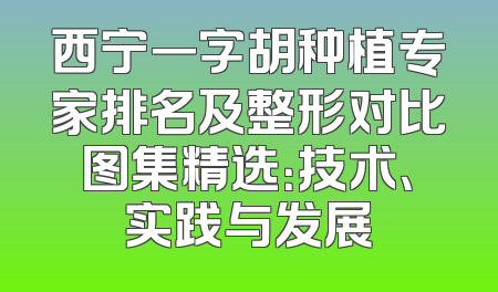 西宁一字胡种植专家排名及整形对比图集精选：技术、实践与发展