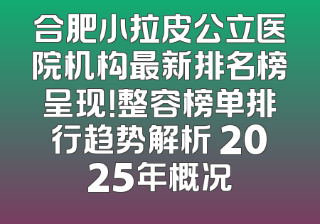 合肥小拉皮公立医院机构最新排名榜呈现！整容榜单排行趋势解析 2025年概况