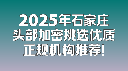 2025年石家庄头部加密挑选优质正规机构推荐！