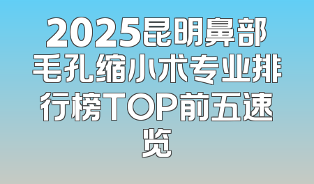2025昆明鼻部毛孔缩小术专业排行榜TOP前五速览