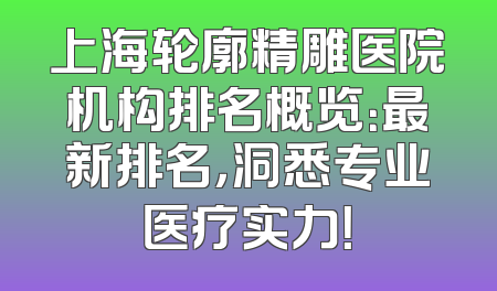上海轮廓精雕医院机构排名概览：最新排名，洞悉专业医疗实力！