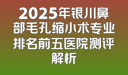 2025年银川鼻部毛孔缩小术专业排名前五医院测评解析
