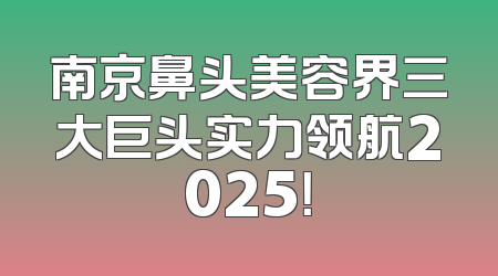 南京鼻头美容界三大巨头实力领航2025！