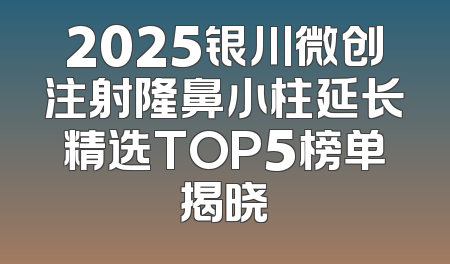 2025银川微创注射隆鼻小柱延长精选TOP5榜单揭晓