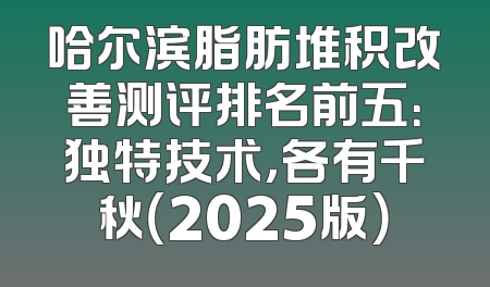 哈尔滨脂肪堆积改善测评排名前五：独特技术，各有千秋（2025版）
