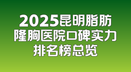 2025昆明脂肪隆胸医院口碑实力排名榜总览
