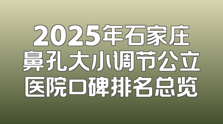 2025年石家庄鼻孔大小调节公立医院口碑排名总览