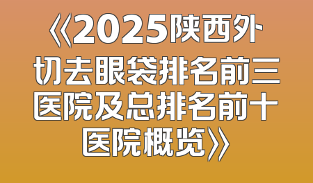 《2025陕西外切去眼袋排名前三医院及总排名前十医院概览》