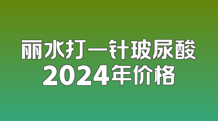丽水打一针玻尿酸2024年价格