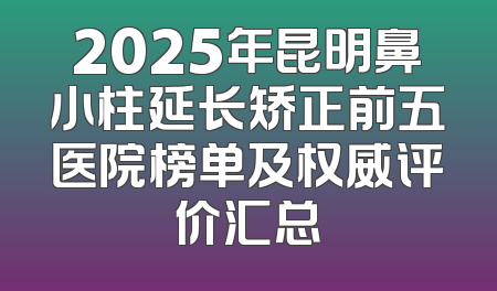 2025年昆明鼻小柱延长矫正前五医院榜单及权威评价汇总