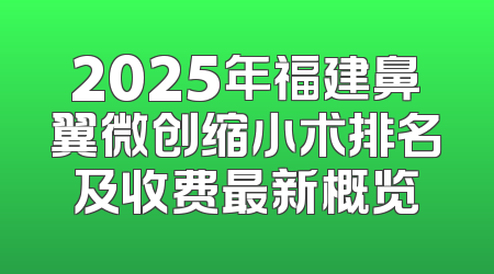 2025年福建鼻翼微创缩小术排名及收费最新概览