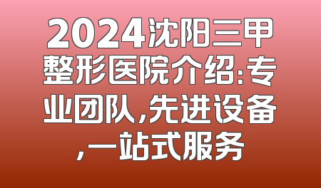 2024沈阳三甲整形医院介绍：专业团队，先进设备，一站式服务
