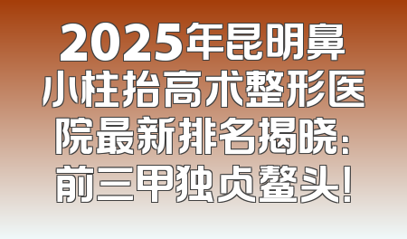 2025年昆明鼻小柱抬高术整形医院最新排名揭晓：前三甲独占鳌头！
