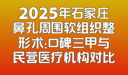 2025年石家庄鼻孔周围软组织整形术：口碑三甲与民营医疗机构对比