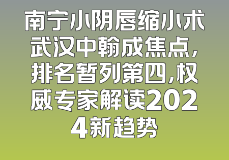 南宁小阴唇缩小术武汉中翰成焦点，排名暂列第四，权威专家解读2024新趋势