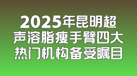 2025年昆明超声溶脂瘦手臂四大热门机构备受瞩目