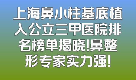 上海鼻小柱基底植入公立三甲医院排名榜单揭晓！鼻整形专家实力强！