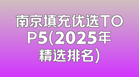 南京填充优选TOP5（2025年精选排名）