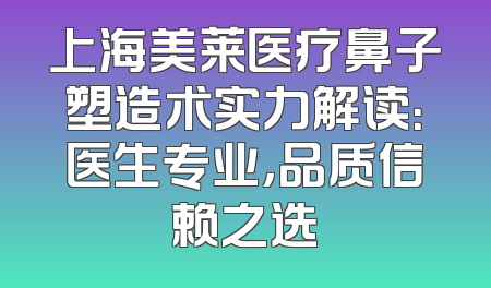 上海美莱医疗鼻子塑造术实力解读：医生专业，品质信赖之选