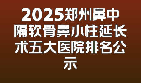 2025郑州鼻中隔软骨鼻小柱延长术五大医院排名公示