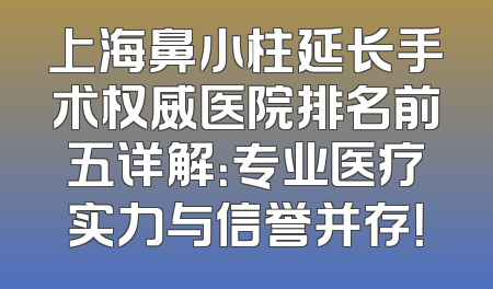 上海鼻小柱延长手术权威医院排名前五详解：专业医疗实力与信誉并存！