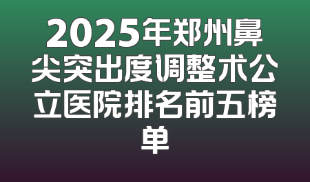 2025年郑州鼻尖突出度调整术公立医院排名前五榜单