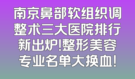 南京鼻部软组织调整术三大医院排行新出炉！整形美容专业名单大换血！