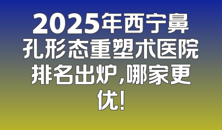 2025年西宁鼻孔形态重塑术医院排名出炉，哪家更优！