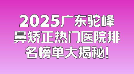 2025广东驼峰鼻矫正热门医院排名榜单大揭秘！