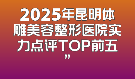 2025年昆明体雕美容整形医院实力点评TOP前五”