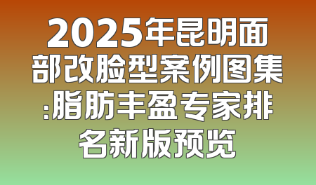 2025年昆明面部改脸型案例图集：脂肪丰盈专家排名新版预览