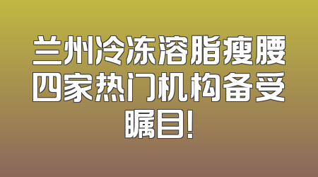 兰州冷冻溶脂瘦腰四家热门机构备受瞩目！