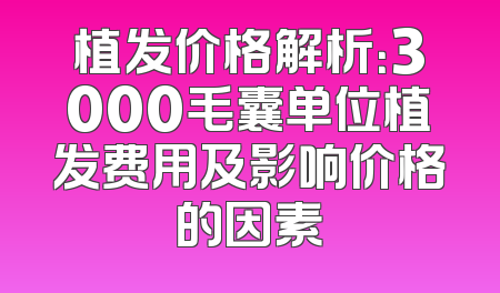 植发价格解析：3000毛囊单位植发费用及影响价格的因素
