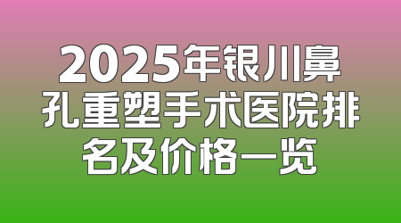 2025年银川鼻孔重塑手术医院排名及价格一览