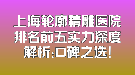 上海轮廓精雕医院排名前五实力深度解析：口碑之选！