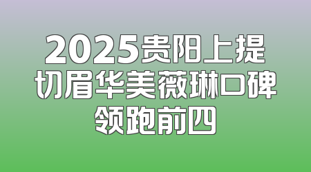 2025贵阳上提切眉华美薇琳口碑领跑前四