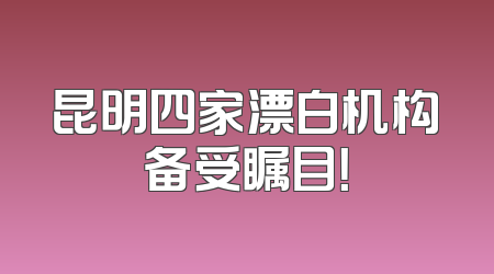 昆明四家漂白机构备受瞩目！