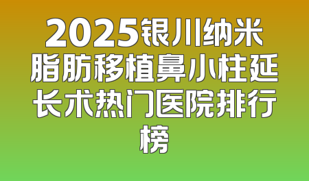 2025银川纳米脂肪移植鼻小柱延长术热门医院排行榜