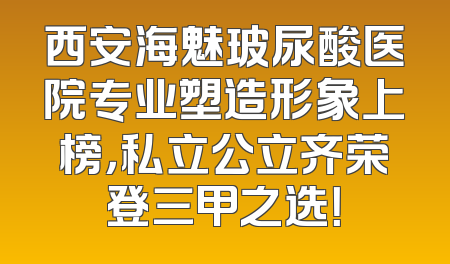 西安海魅玻尿酸医院专业塑造形象上榜，私立公立齐荣登三甲之选！